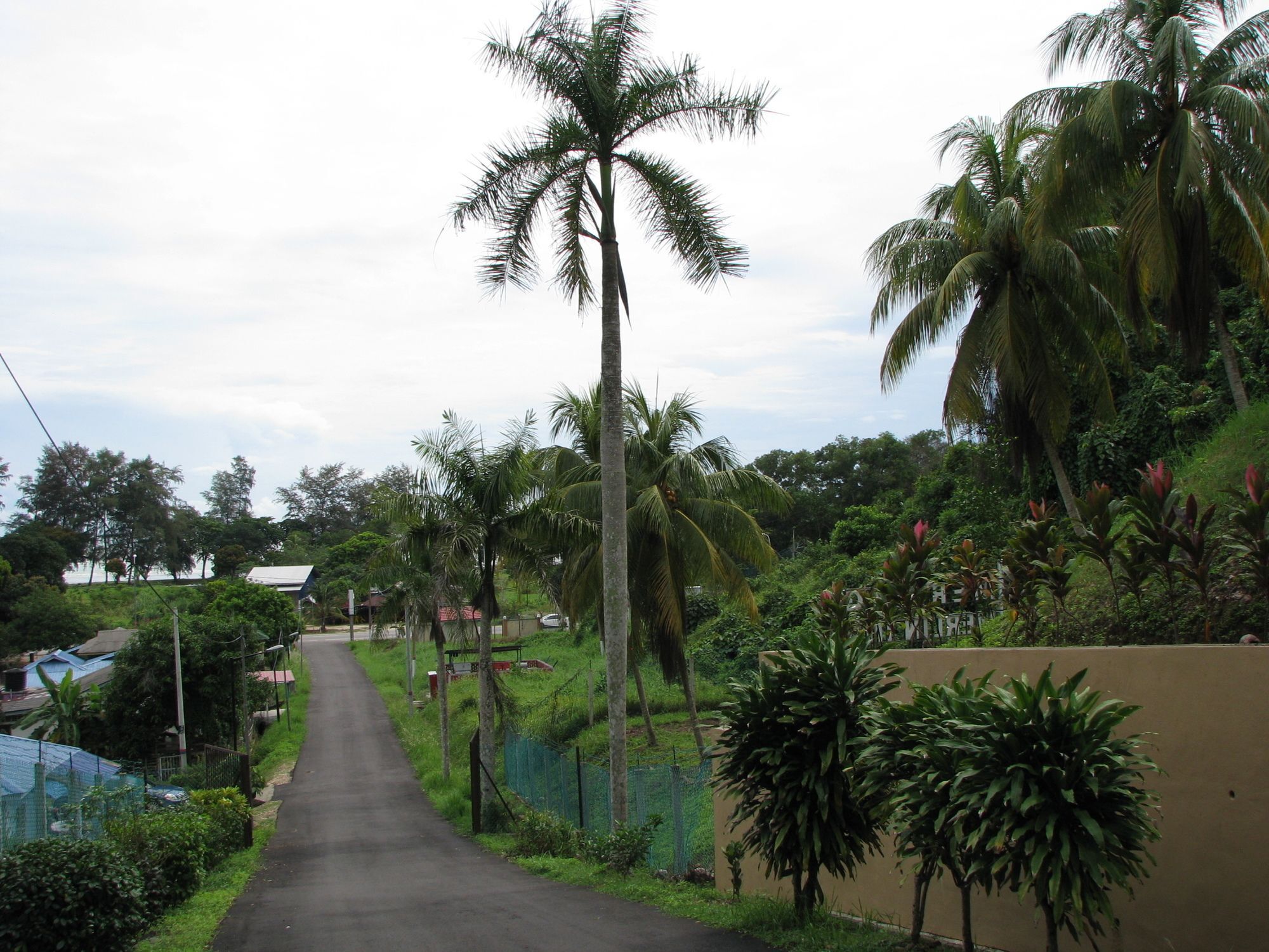 Mersing Merlin Inn Buitenkant foto